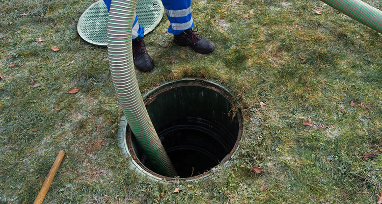 Bacteria Improve Septic Tank