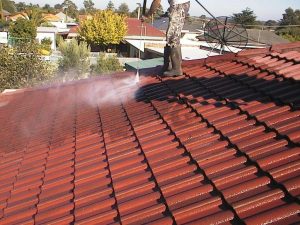 Roof Cleaning Service